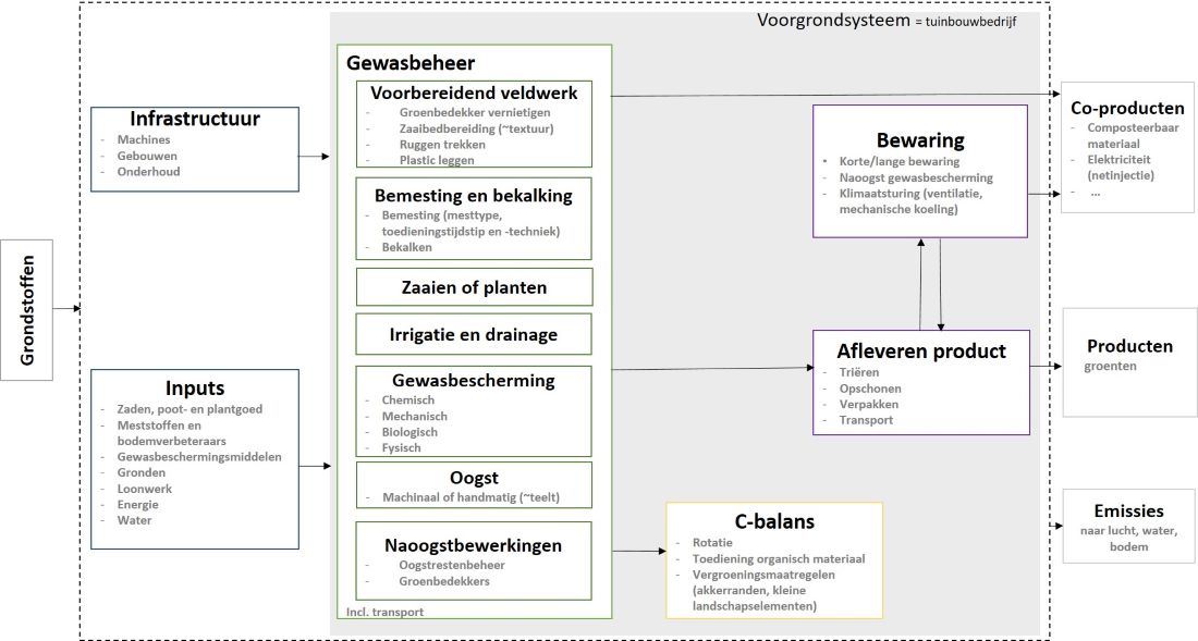 Systeemschema groenten